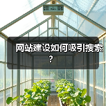 网站建设如何吸引搜索？（图3）