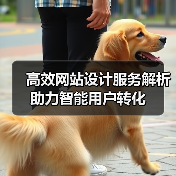 高效网站设计服务解析助力智能用户转化（图1）