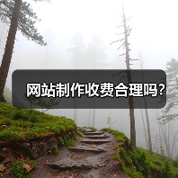网站制作收费合理吗？（图3）