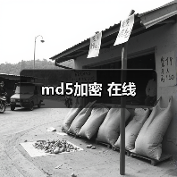 md5加密 在线（图2）