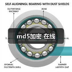 md5加密 在线（图3）