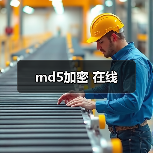 md5加密 在线（图4）