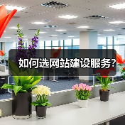 如何选网站建设服务？（图3）