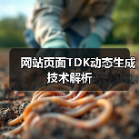 网站页面TDK动态生成技术解析（图3）