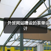外贸网站建设的表单设计（图4）