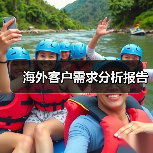 海外客户需求分析报告（图3）