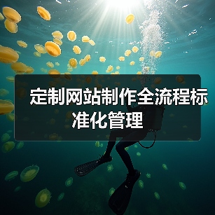 定制网站制作全流程标准化管理（图2）