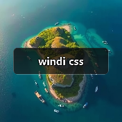 windi css（图2）