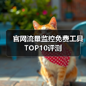 官网流量监控免费工具TOP10评测