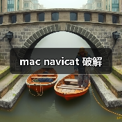 mac navicat 破解（图4）