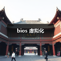 bios 虚拟化（图4）