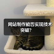 网站制作能否实现技术突破？（图3）