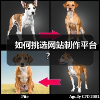 如何挑选网站制作平台？（图2）