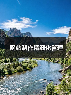 网站制作精细化管理（图4）
