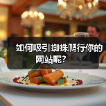 如何吸引蜘蛛爬行你的网站呢？（图3）