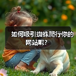如何吸引蜘蛛爬行你的网站呢？（图2）