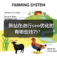 新站在进行seo优化时有哪些技巧?(图3) 新站在进行seo优化时有哪些技巧?(图3)