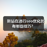 新站在进行seo优化时有哪些技巧?(图2) 新站在进行seo优化时有哪些技巧?(图2)