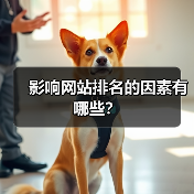 影响网站排名的因素有哪些？