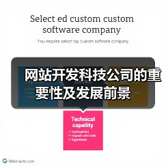 网站开发科技公司的重要性及发展前景(图2) 网站开发科技公司的重要性及发展前景(图2)