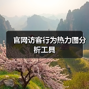 官网访客行为热力图分析工具（图3）