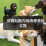 官网智能内容推荐系统实践（图2）
