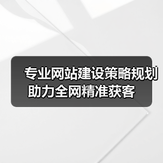 专业网站建设策略规划助力全网精准获客(图3) 专业网站建设策略规划助力全网精准获客(图3)