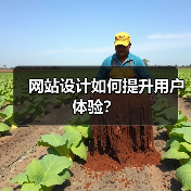 网站设计如何提升用户体验？（图4）