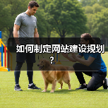 如何制定网站建设规划？