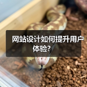 网站设计如何提升用户体验？（图3）