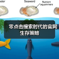 零点击搜索时代的官网生存策略