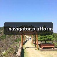 navigator.platform（图2）