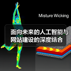 面向未来的人工智能与网站建设的深度结合(图2) 面向未来的人工智能与网站建设的深度结合(图2)