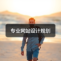 专业网站设计规划(图2) 专业网站设计规划(图2)