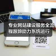 专业网站建设服务全流程跟踪助力系统运行