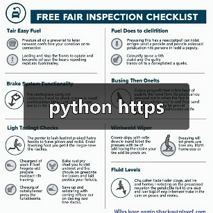 python https