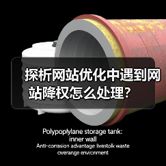 探析网站优化中遇到网站降权怎么处理?(图2) 探析网站优化中遇到网站降权怎么处理?(图2)