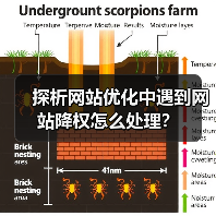探析网站优化中遇到网站降权怎么处理？