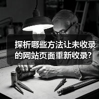 探析哪些方法让未收录的网站页面重新收录?