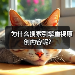 为什么搜索引擎重视原创内容呢?(图4) 为什么搜索引擎重视原创内容呢?(图4)