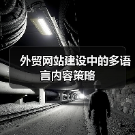 外贸网站建设中的多语言内容策略(图4) 外贸网站建设中的多语言内容策略(图4)
