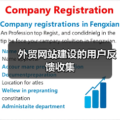 外贸网站建设的用户反馈收集(图2) 外贸网站建设的用户反馈收集(图2)