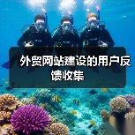 外贸网站建设的用户反馈收集(图4) 外贸网站建设的用户反馈收集(图4)