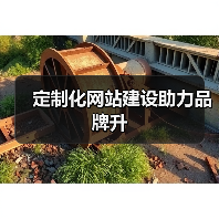 定制化网站建设助力品牌升（图4）