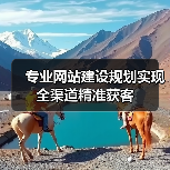 专业网站建设规划实现全渠道精准获客(图2) 专业网站建设规划实现全渠道精准获客(图2)