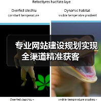 专业网站建设规划实现全渠道精准获客(图3) 专业网站建设规划实现全渠道精准获客(图3)