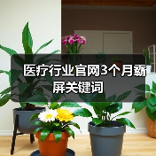 医疗行业官网3个月霸屏关键词