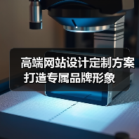 高端网站设计定制方案打造专属品牌形象(图3) 高端网站设计定制方案打造专属品牌形象(图3)