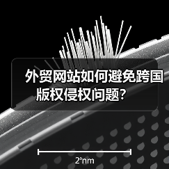 外贸网站如何避免跨国版权侵权问题?(图3) 外贸网站如何避免跨国版权侵权问题?(图3)