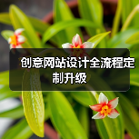 创意网站设计全流程定制升级(图2) 创意网站设计全流程定制升级(图2)